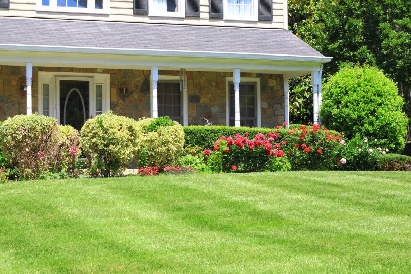 Bush Landscaping Service