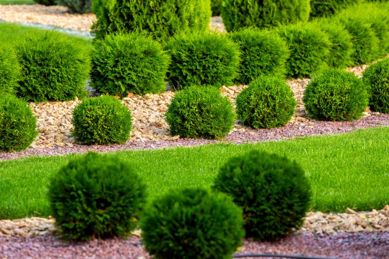 Bush Landscaping