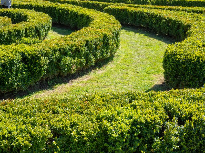 Bush Landscaping Design