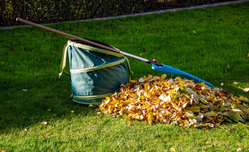 Leaf Collection Strategies