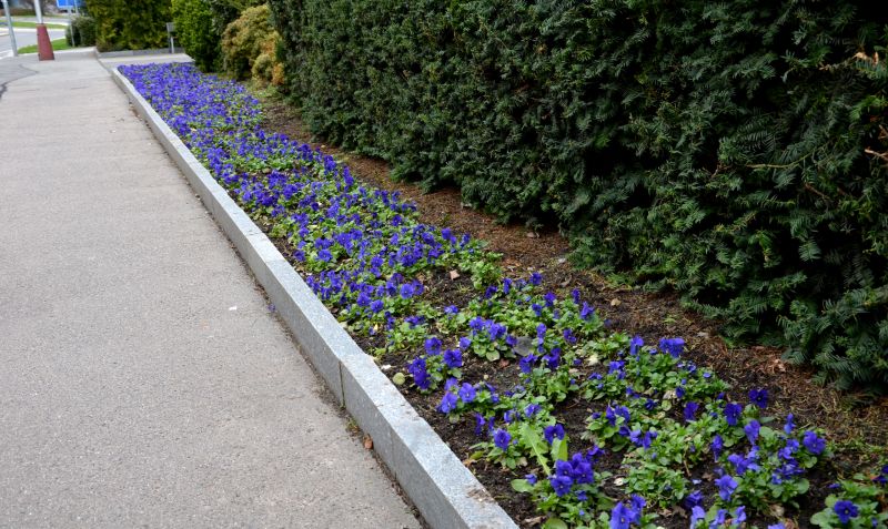 Flowerbed Curbing Installation in Citrus County, FL