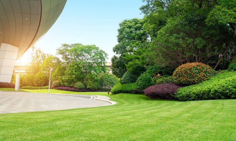 Commercial Landscaping Experts